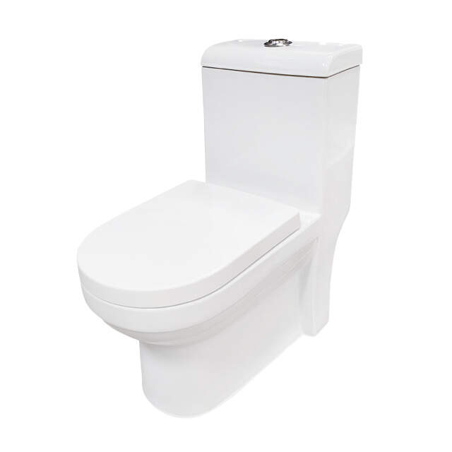 Washdown One-Piece Toilet