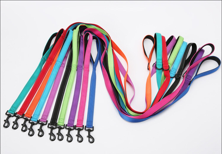 Wholesale High Quality Dog Leash Nylon Reflective Retractable Led Dog bungee Leash dog leash with poop bag holder