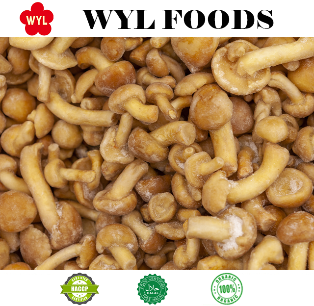 Frozen Nameko Supplier; Wholesale Nameko Mushrooms; Bulk Frozen Mushrooms Export; Premium Quality Nameko; Frozen Nameko for Import; Mushroom Exporters; Nameko Mushroom Distributors; Import Nameko Mushrooms; Buy Wholesale Nameko; Frozen Mushroom Exporters