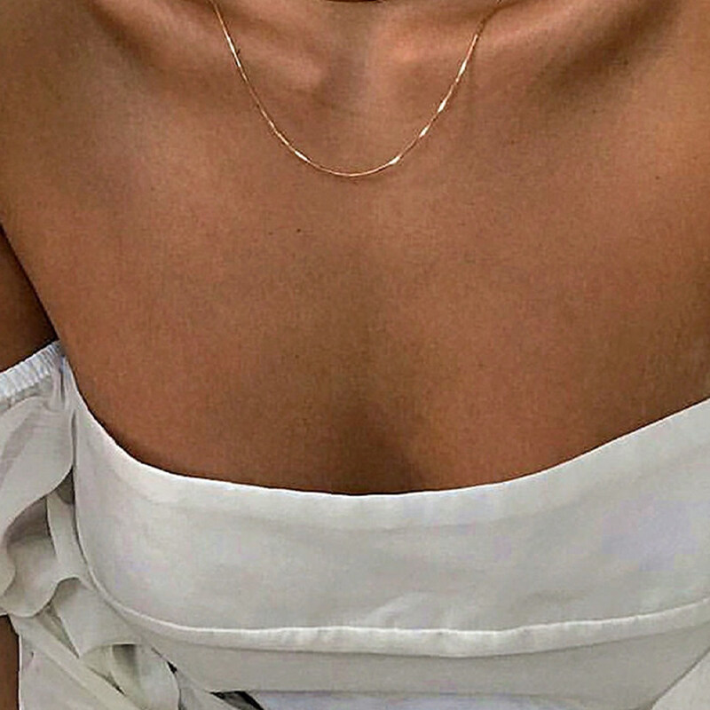 Double Layered Snake Bone Thin Chain Collarbone Necklace For Women