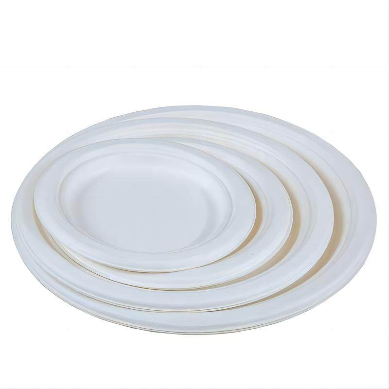 Oval plates-bagasse tableware