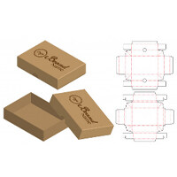 Packaging boxes/bags design