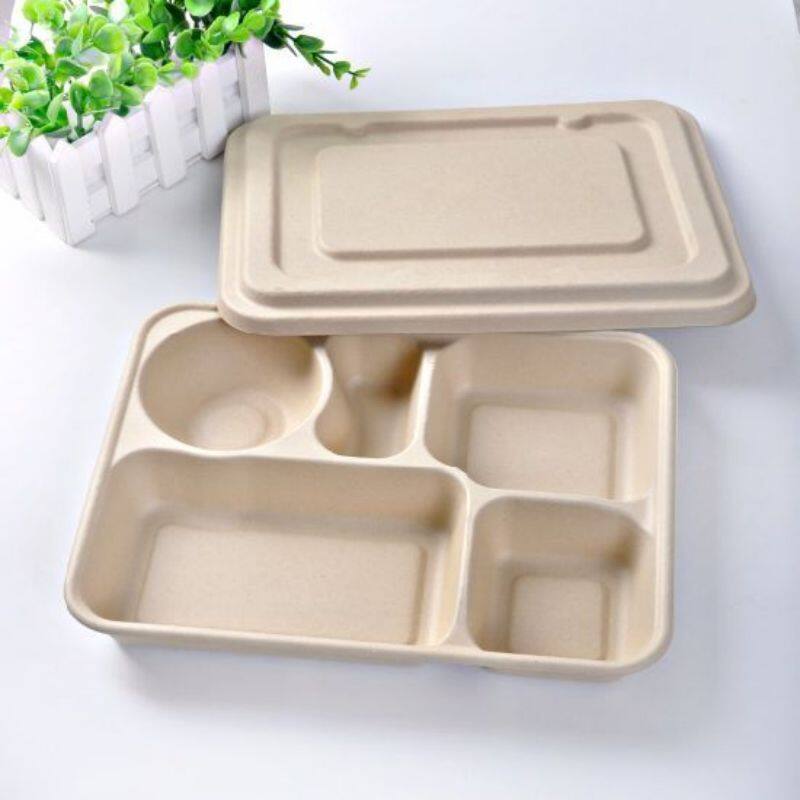 Bagasse tableware- Five square plates