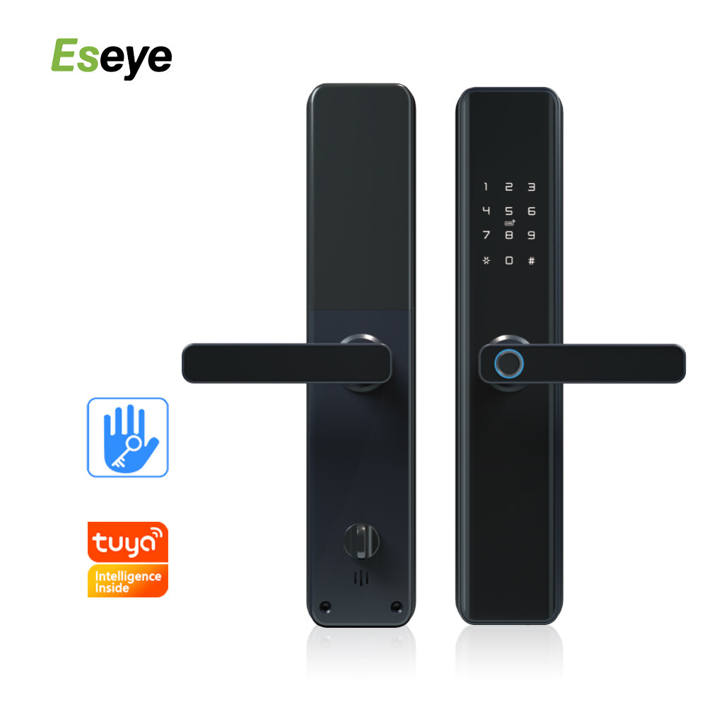 Good Quality Black Metal Body Electric Tlock Alexa Gate WiFi Home Smart Intelligent Lock For Wholesale