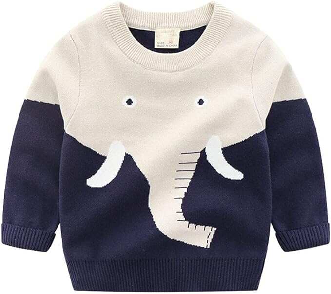 Boys Sweater