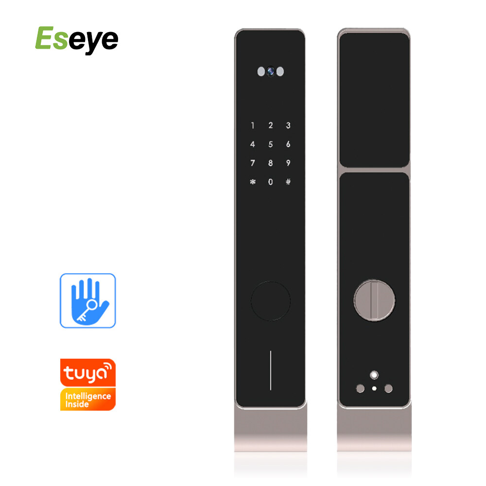 Black Metal Body TUYA APP/TT Lock Fully Automatic Face Lock Smart Intelligent Lock Without Handle For Wholesale