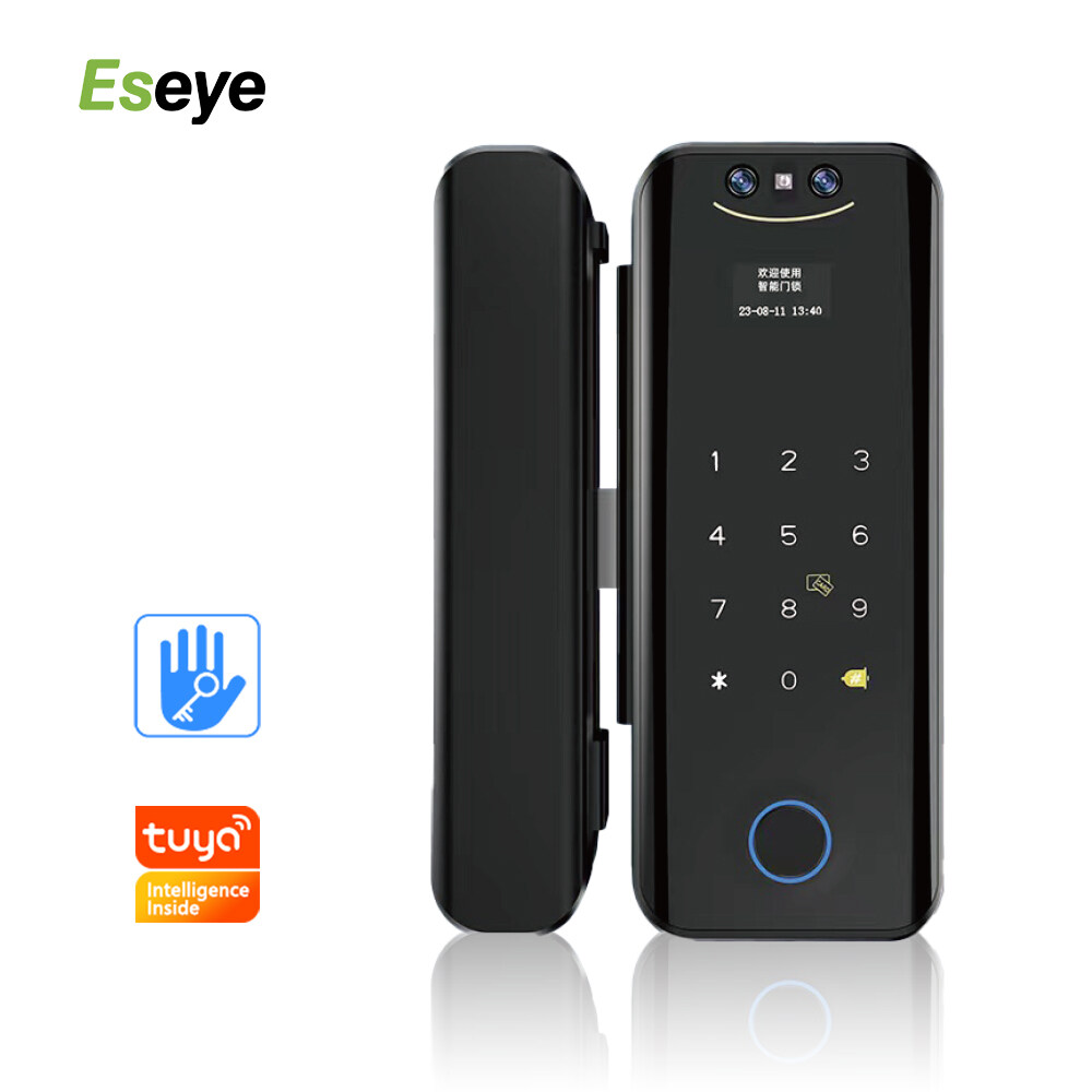 Hot Sale Black Metal Body Anti-theft 3D Face ID Intelligent Glass Home APP Face Recognition Door Lock