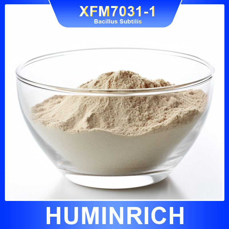 100 billion Bacillus Subtilis WP-Feed Additive Cas 12211-28-8