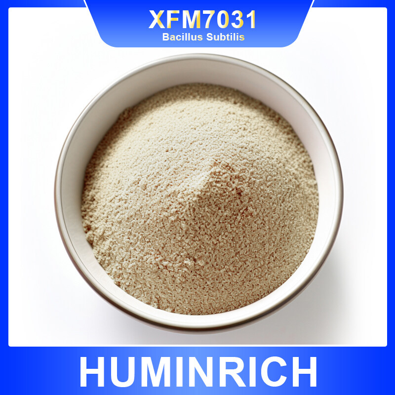 200 billion Bacillus Subtilis WP-Fungicide Cas 12211-28-8