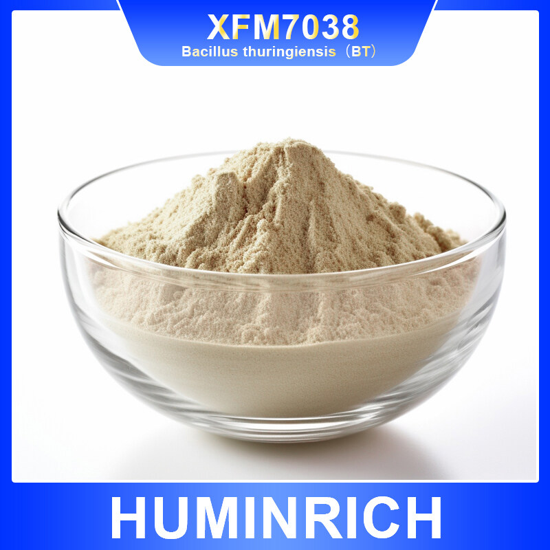 Bacillus thuringiensis（BT）WP  50000IU-pesticides