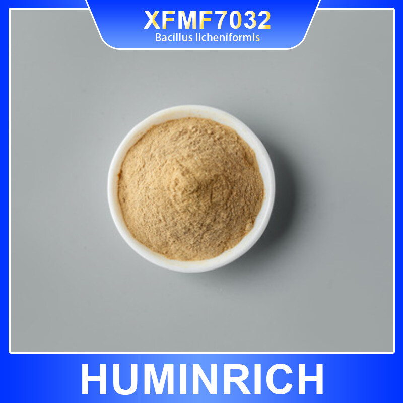 Feed grade 100 billion Bacillus licheniformis WP