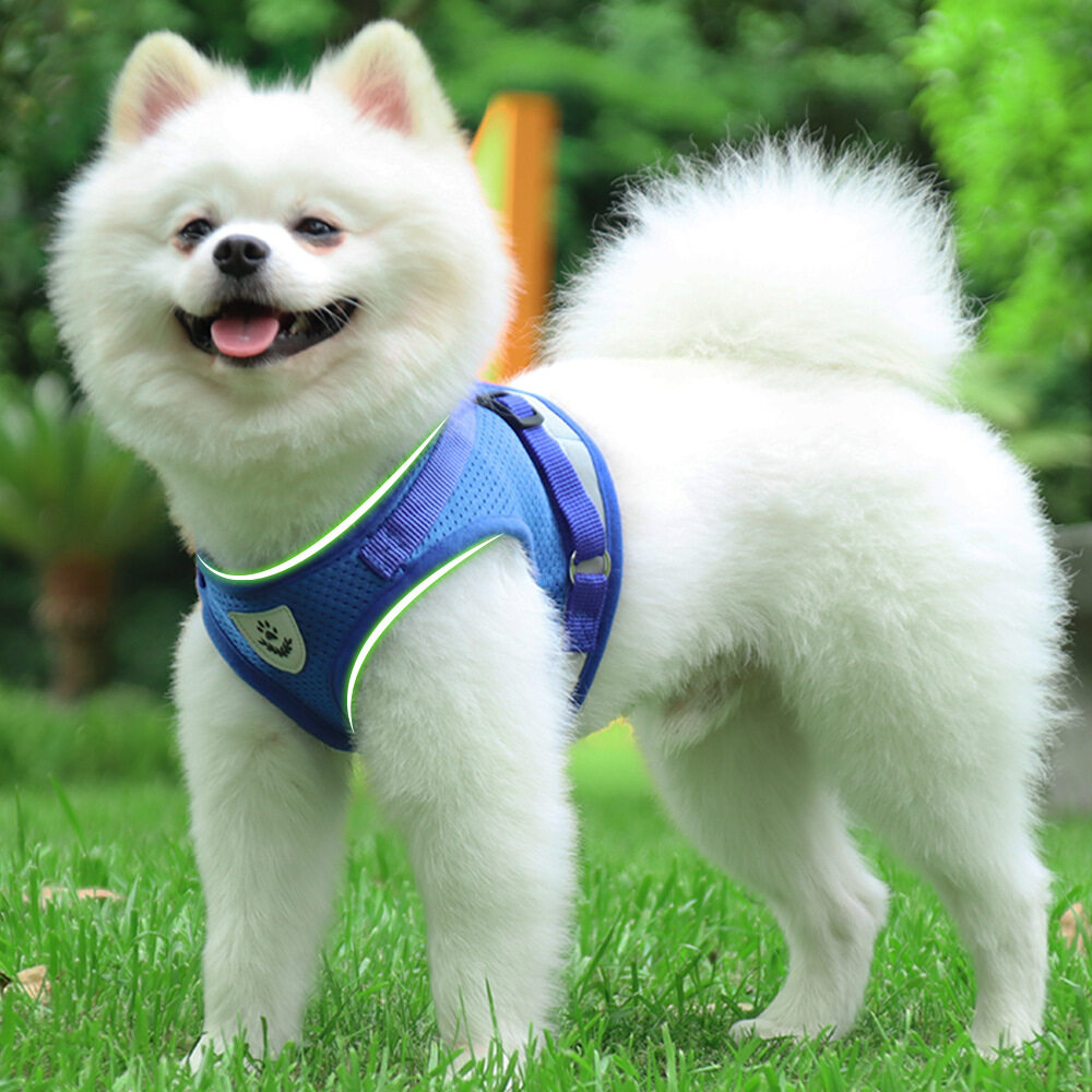New Pet Chest Harness Vest Type Dog Leash Reflective Breathable Dog Rope Pet Supplies Wholesale