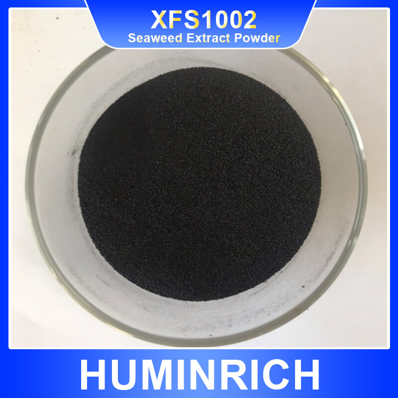 Alginic Acid 14%-25% Seaweed Extract Powder