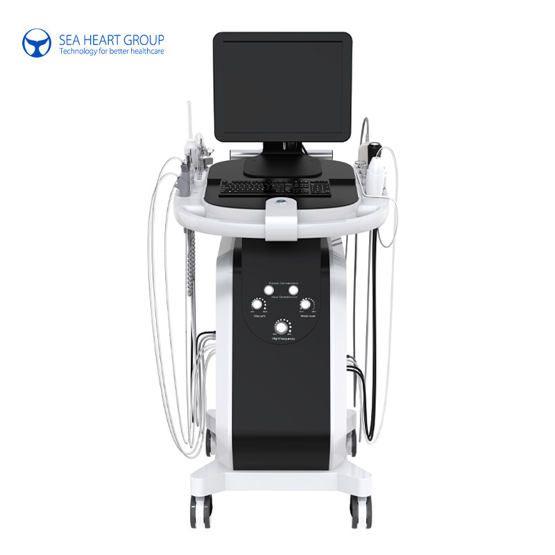 2024 new arrival style Skin Care Hydro Microdermabrasion Machine for face