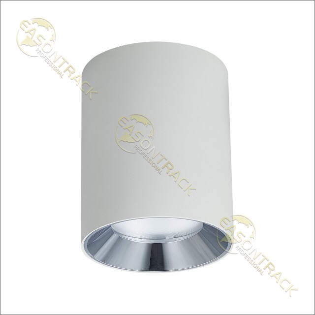 JS-M8003 Surface Mounted Downlights