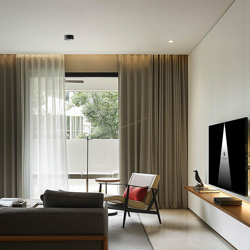 ceiling downlights (7).jpg