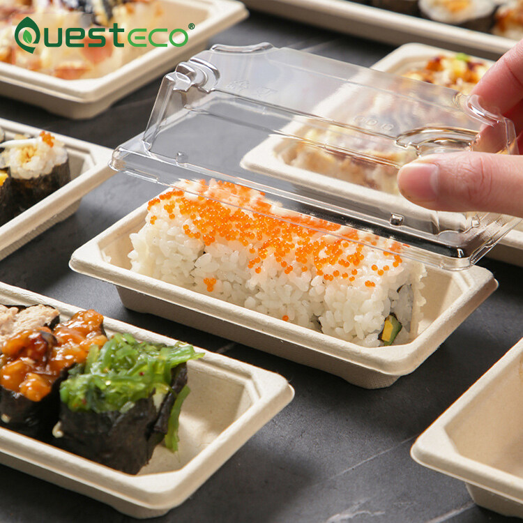 Disposable Rectangle Takeaway Sushi Box Container Sugarcane Bagasse Box Sugarcane Food Box