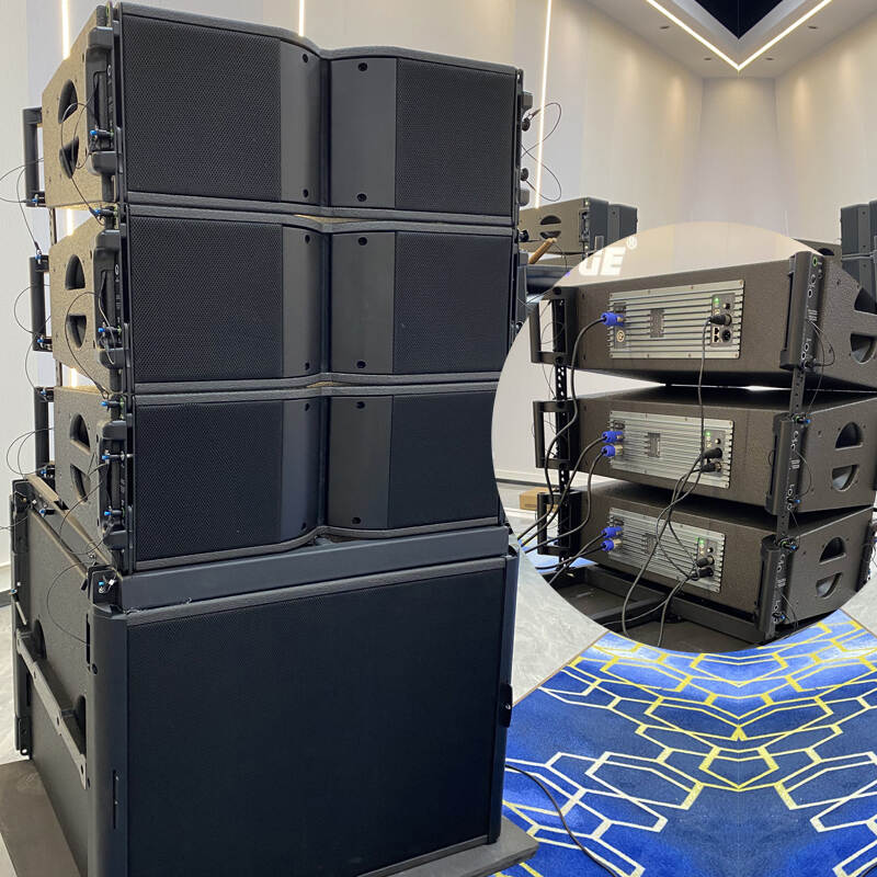 Active Module 1000w Dual 10 Inch Powered Line Array Speaker