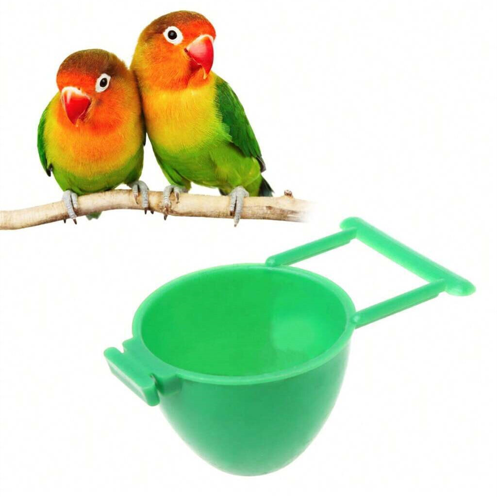 (1pc) Parrot Feeding And Watering Tool For Eggs