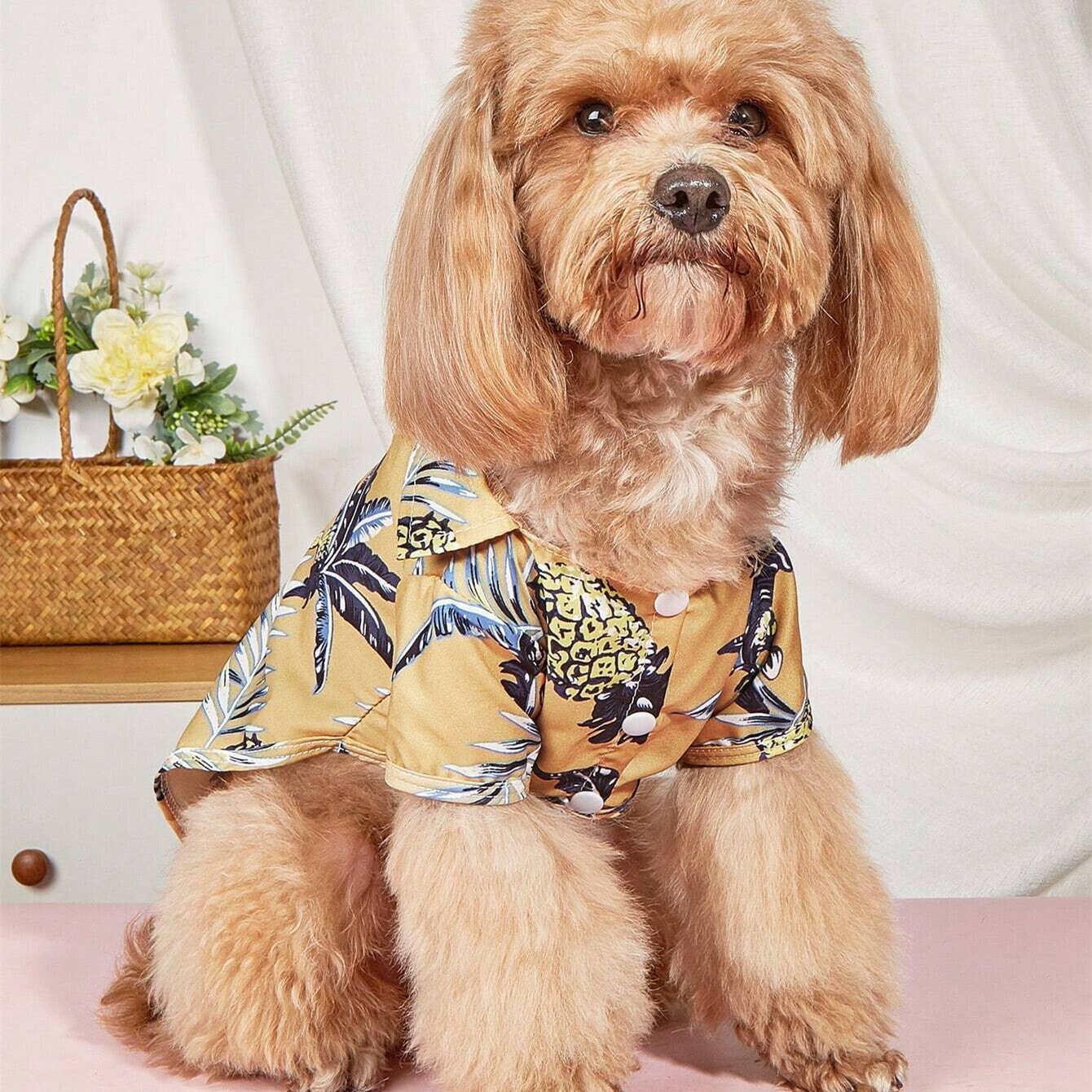 Hawaiian Beach Vacation Two Feet Button Up Pet Shirt