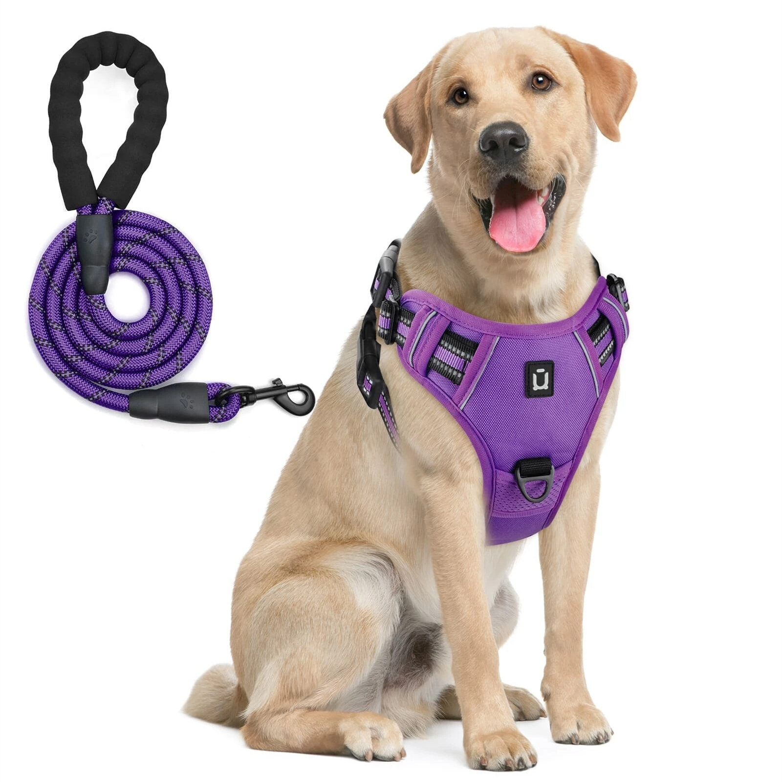 Dog Harness and Leash Combo