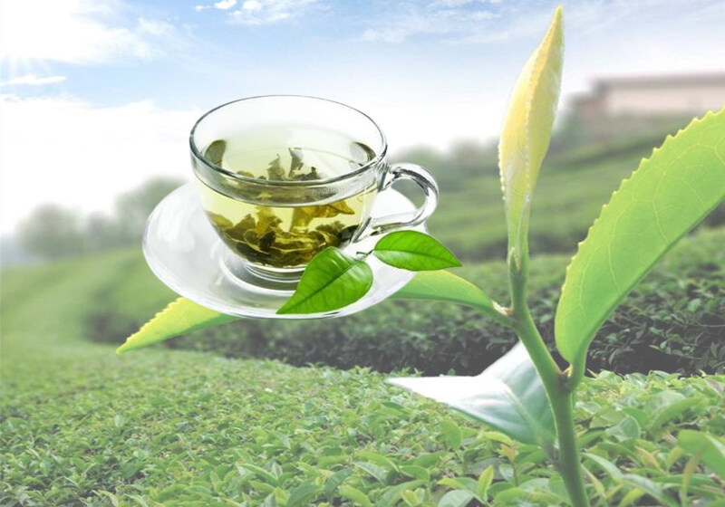 A few things you must know about tea