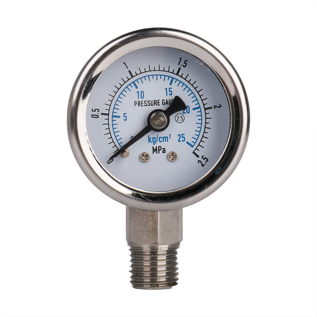 Y60-BF Stainless Steel Pressure Gauge