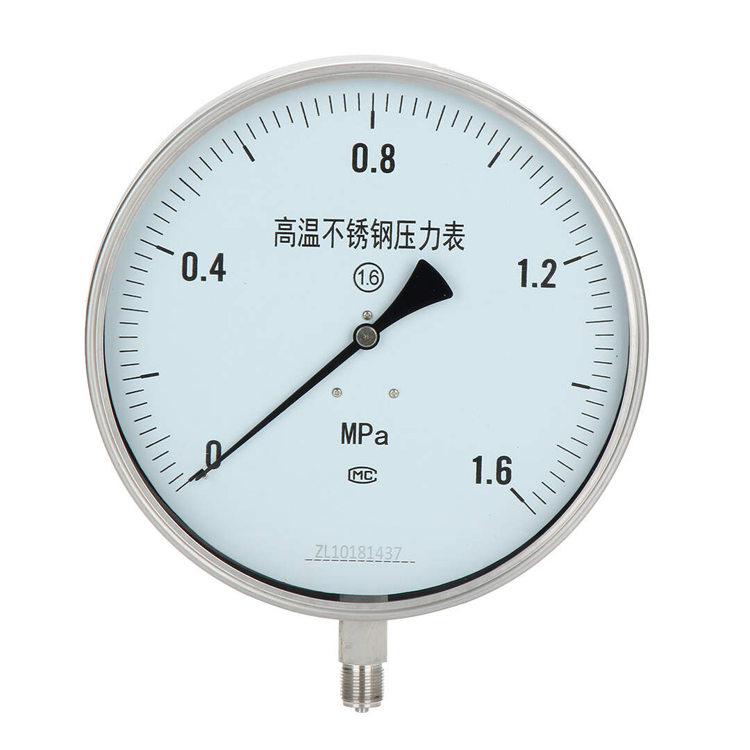 Y250BF Stainless Steel Pressure Gauge