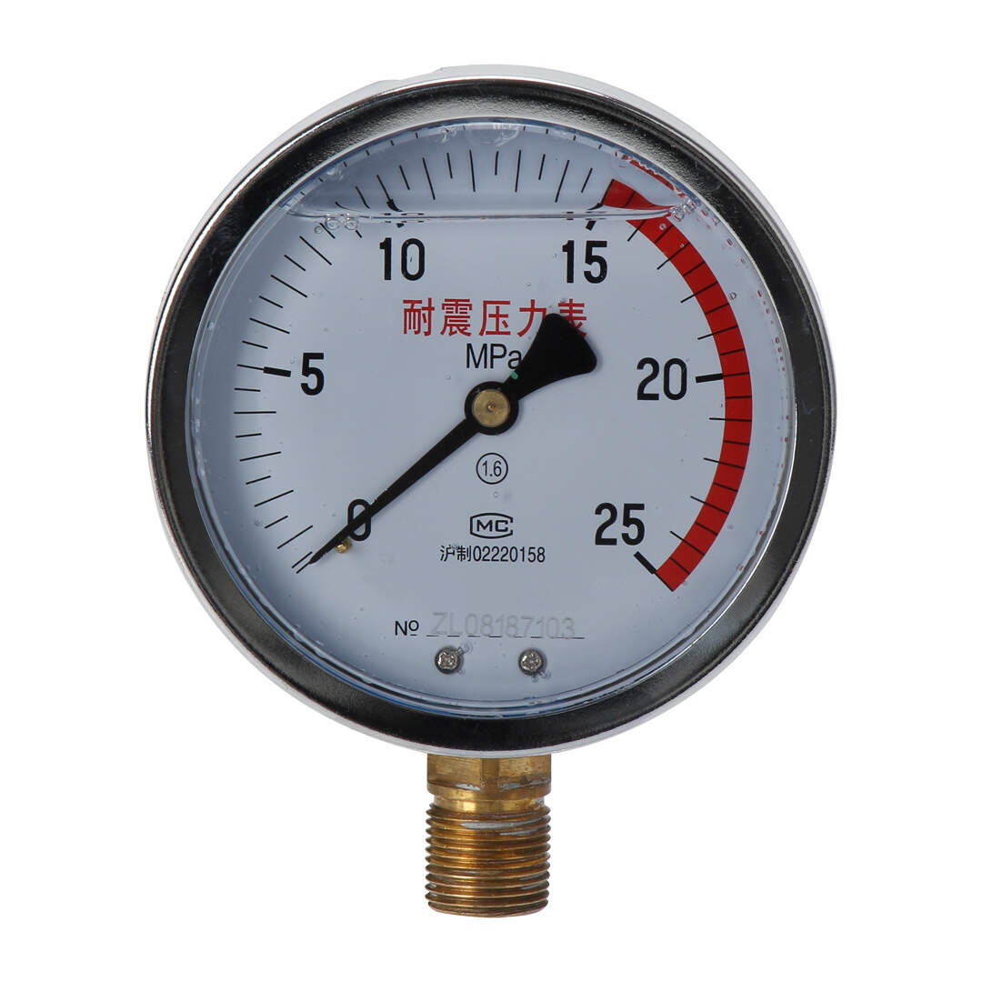 YN100 Shock-Resistant Pressure Gauge