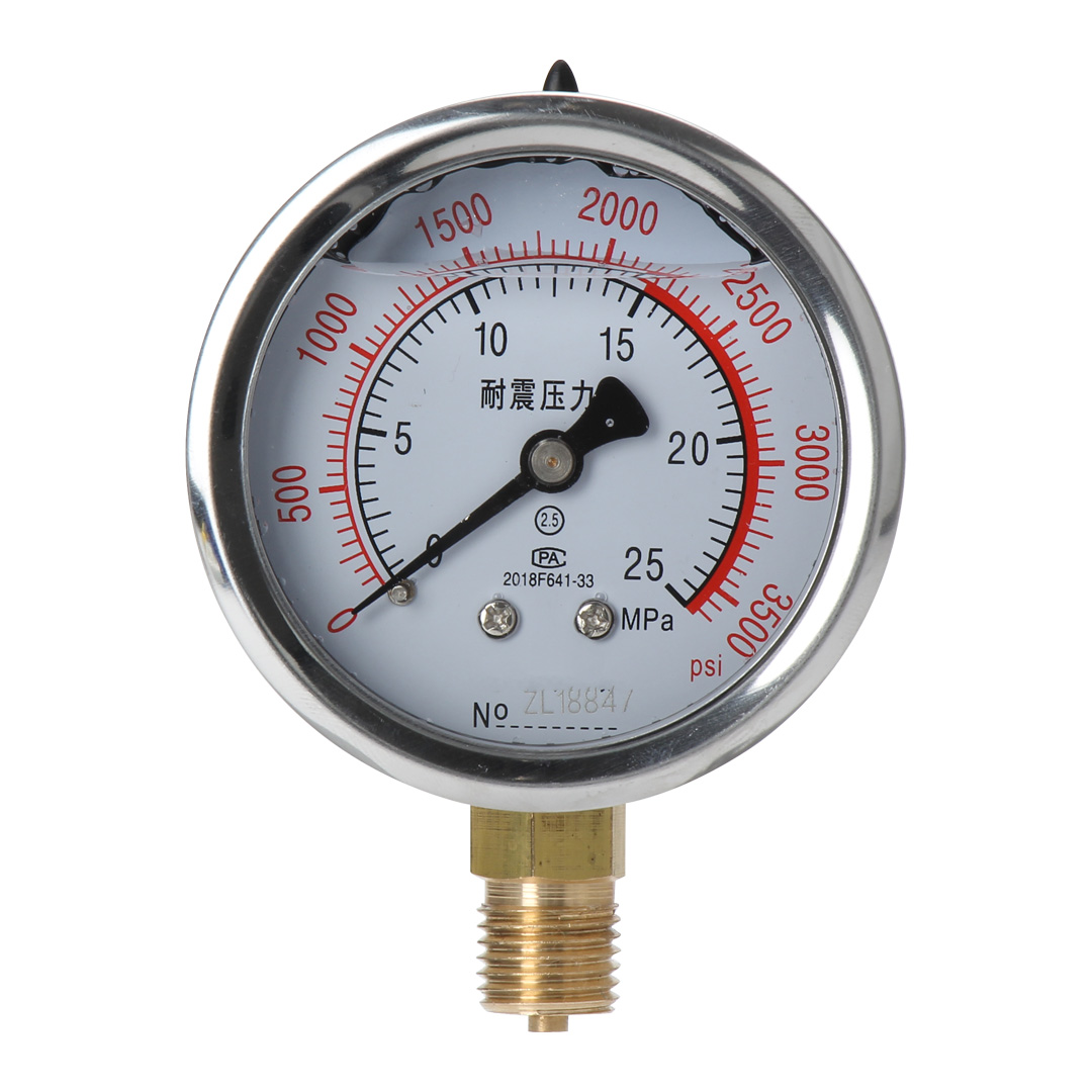 YN60 Shock-Resistant Pressure Gauge