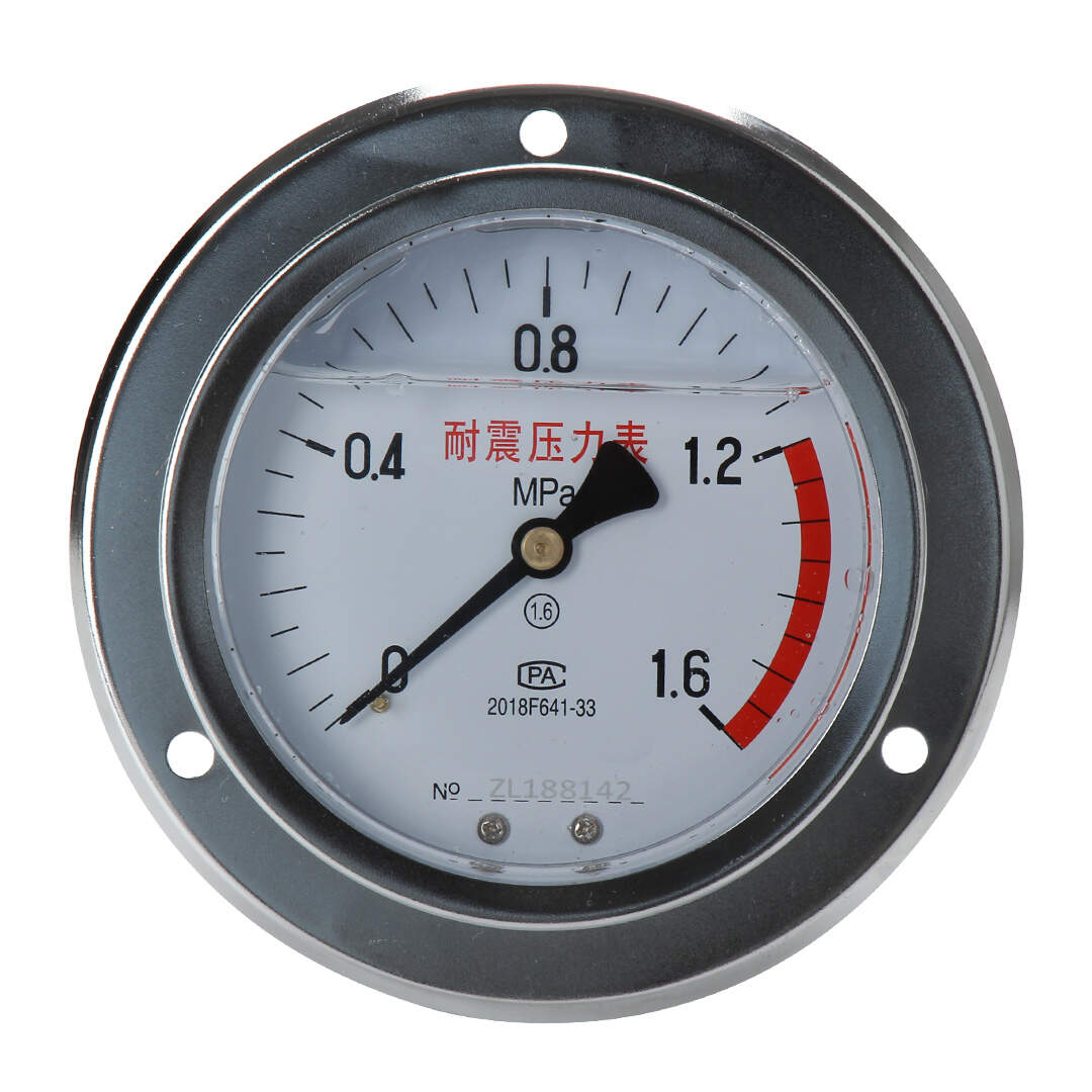 YN100-ZT Axial Shock-Proof Pressure Gauge With Behind Flange Edge