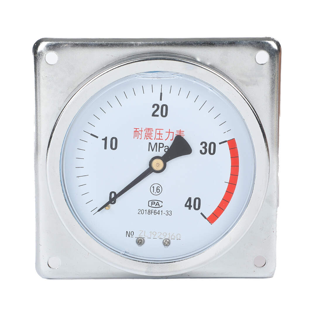 YN100ZT Axial Shock-Proof Pressure Gauge With Behind Flange Edge(Square Edge)