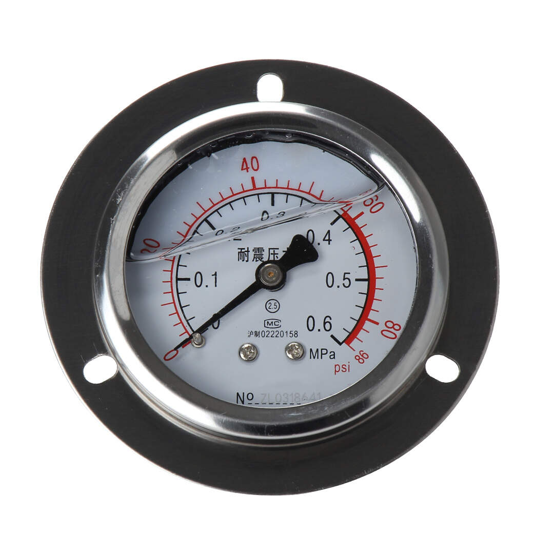 YN60ZT Axial Shock-Proof Pressure Gauge With Behind Flange Edge