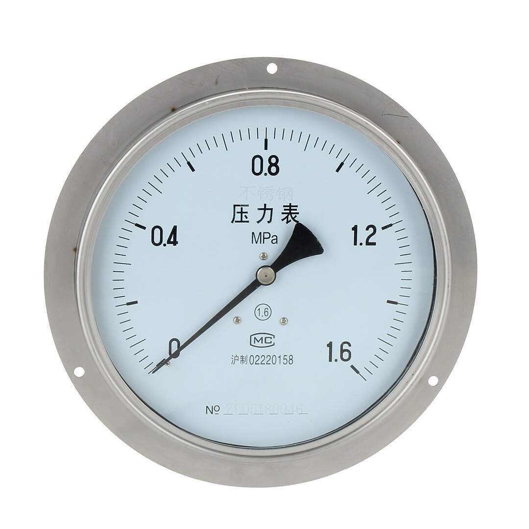 Y200BFZT Stainless Steel Axial Pressure Gauge With Flange Edge