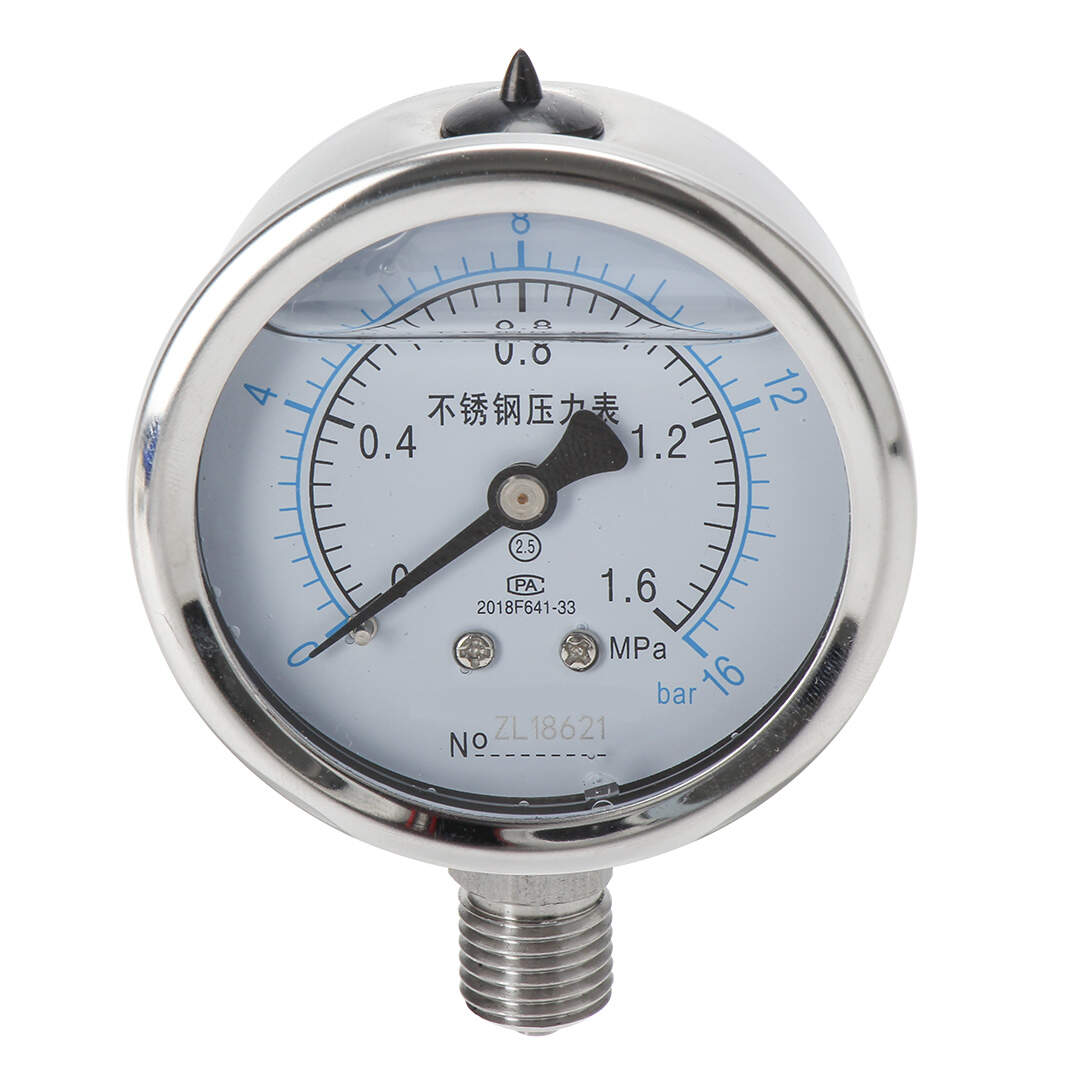 YN60-BF Stainless Steel Shock-Resistant Pressure Gauge