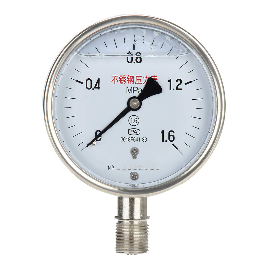 YN100-BF Stainless Steel Shock-Resistant Pressure Gauge