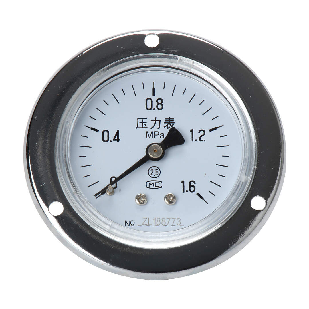 Y60-ZT Series Axial Pressure Gauge With Flange Edge