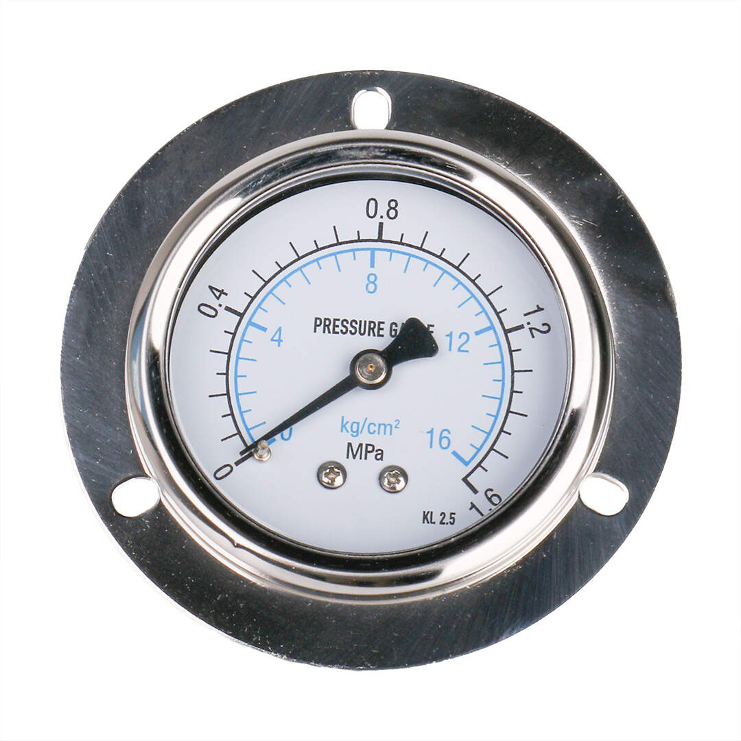 Y60-BFZT Stainless Steel Axial Pressure Gauge With Flange Edge