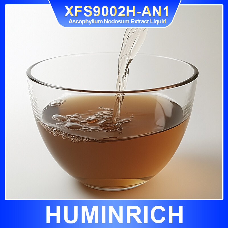 Ascophyllum Nodosum Extract Liquid