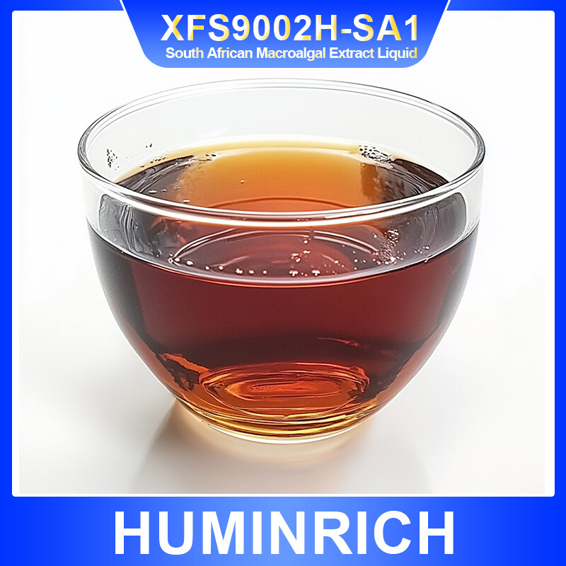 South African Macroalgal Extract Liquid