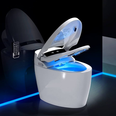 Smart toilet seats