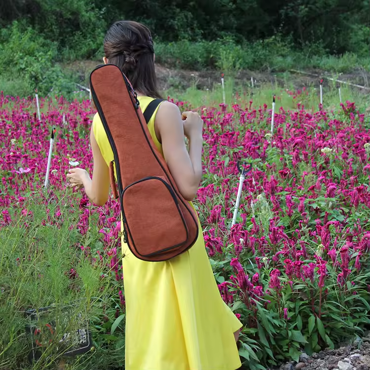 Bolsa de ukelele barata, caja de guitarra acústica, caja de guitarra dura, caja de guitarra impermeable, caja de guitarra directa de fábrica