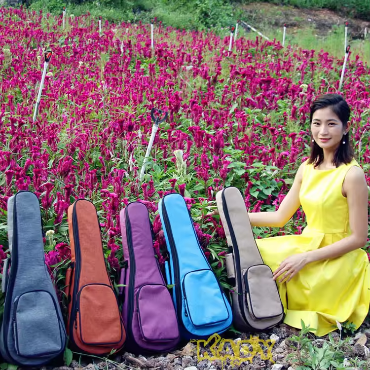 Bolsa de ukulele barata, estojo de guitarra acústico, estojo de guitarra dura, estojo à prova d'água, estojo de guitarra direta de fábrica