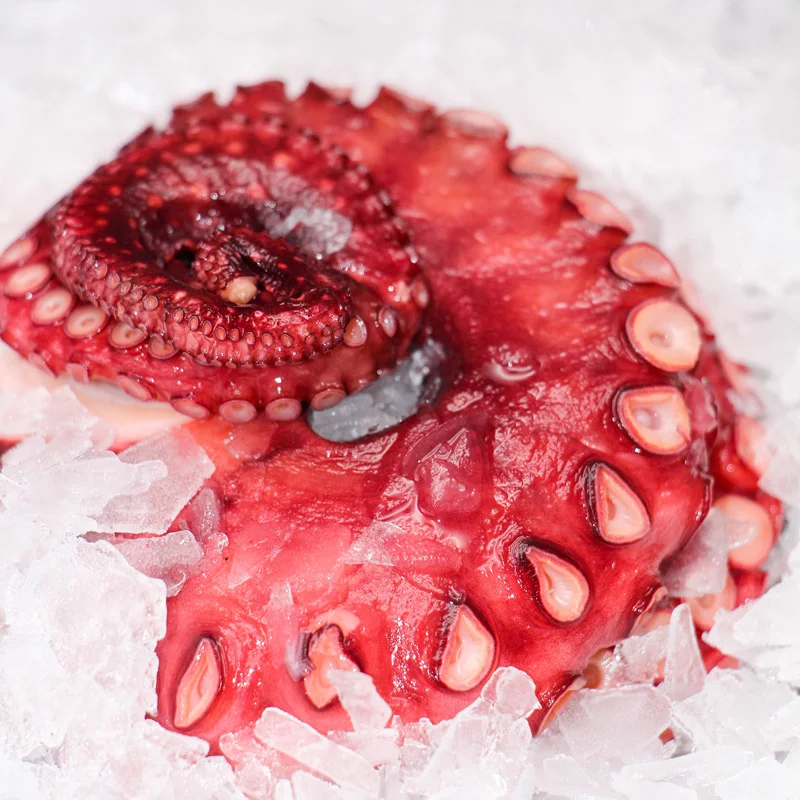 The Ultimate Guide to Grilled Frozen Octopus: From Freezer to Flame