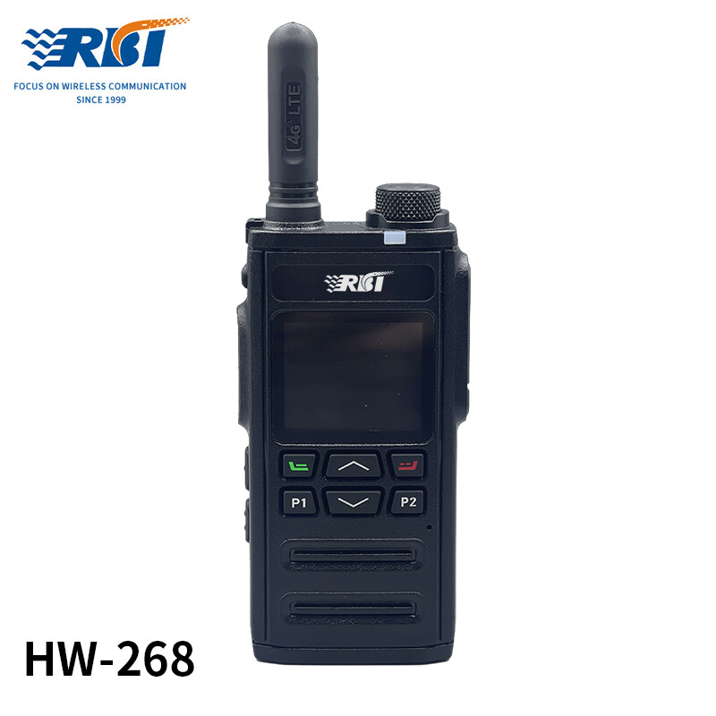 Global public network intercom HW-268