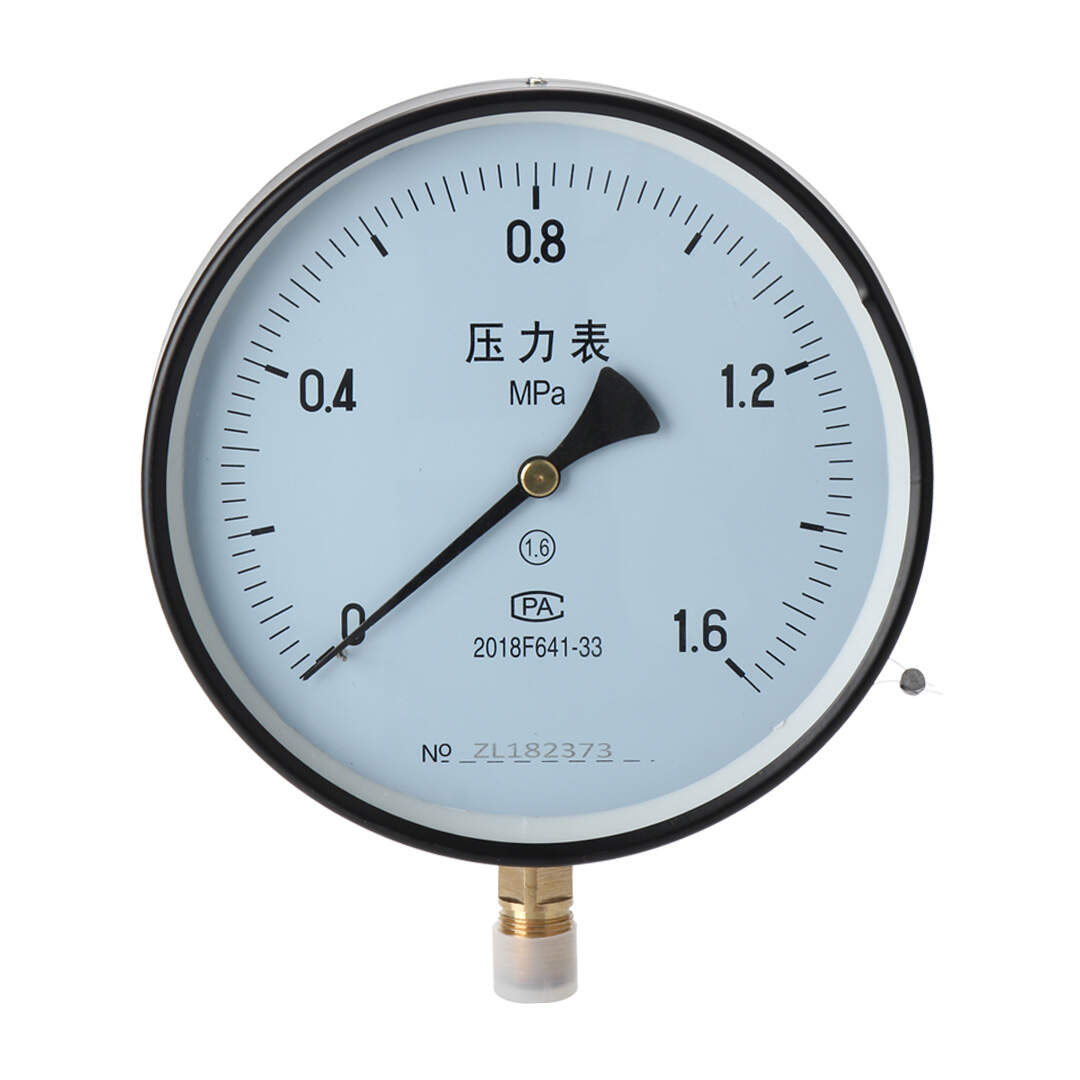 Y200 General Pressure Gauge 200mm