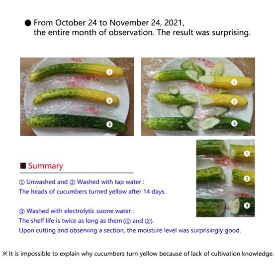 Observation on the effects of different washing methods on cucumber shelf life and quality