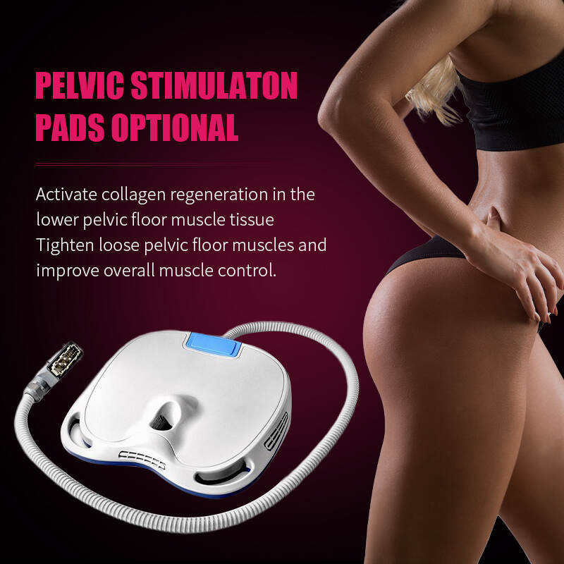 China factory ems body sculpting machine; How to choice the better emsculpt machine; best ems sculpting machine