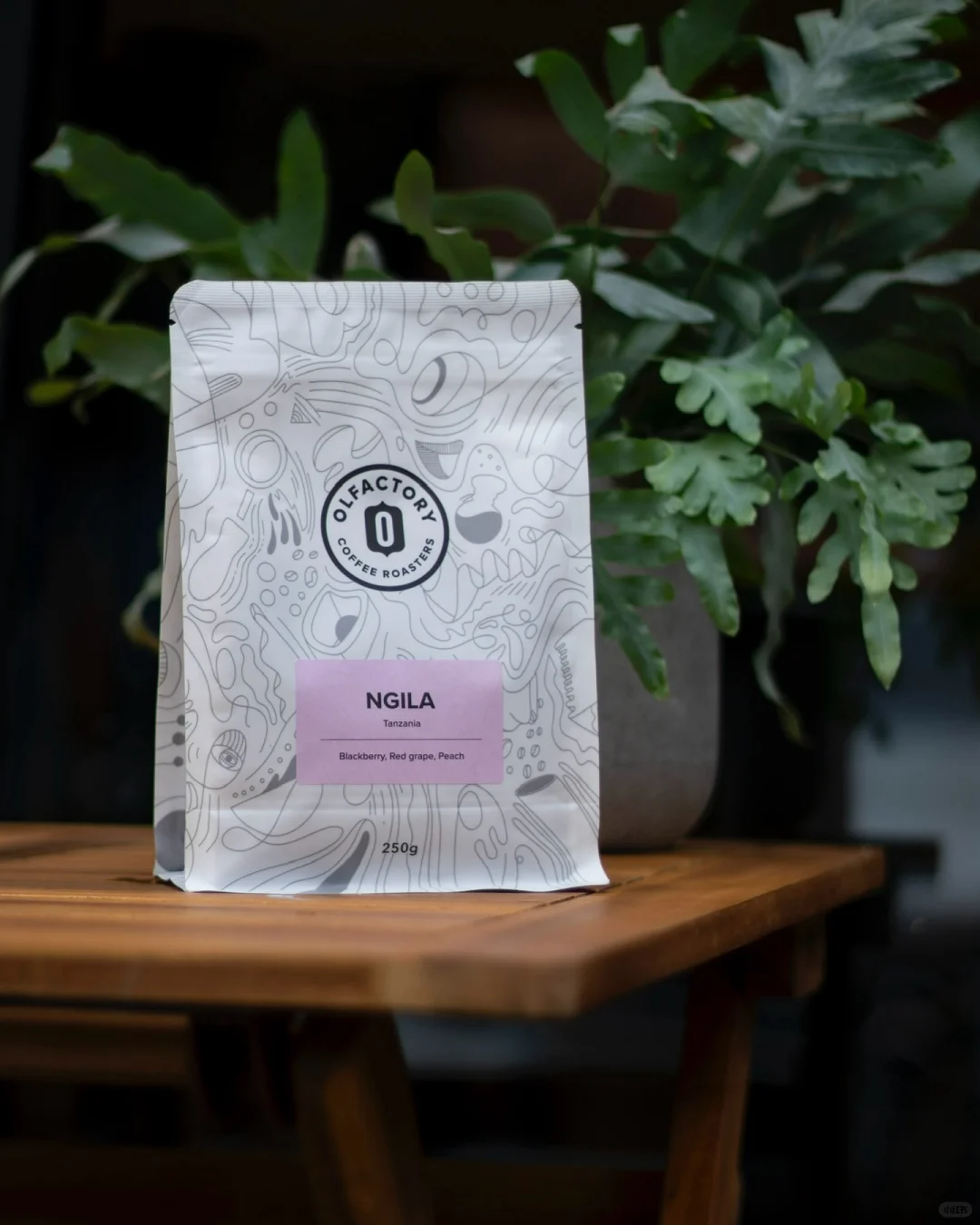 EVOH Eco-Friendly Coffee Bags