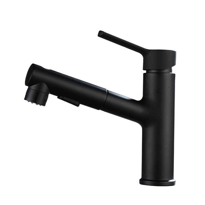 Pull-Out Kitchen Faucet with Cold and Hot Water for Home Bathroom Sink Vanity Washbasin-Black